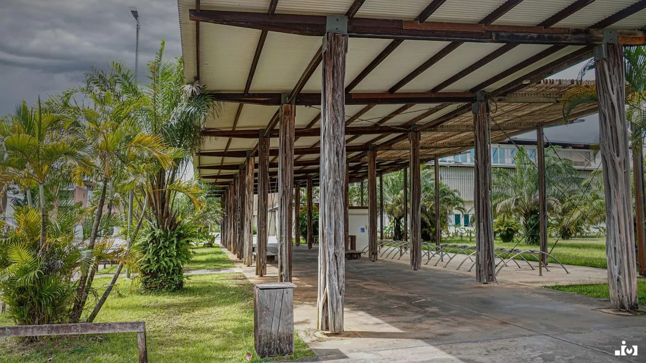 Cayenne Chic — Résidence Design Bois Tropical — Appartement à Cayenne (Zac Hibiscus)