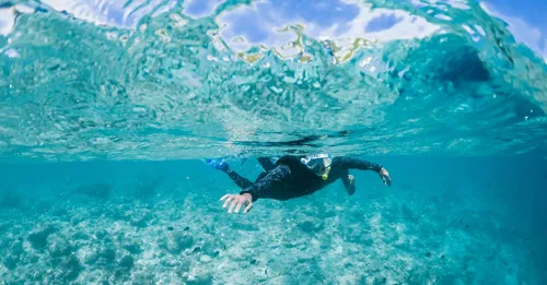 Coffre des Caps et Cap Chevalier : snorkeling au lagon turquoise