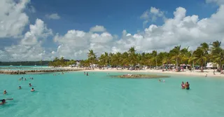 Plage de Grande-Anse a Deshaies : maree, courant, parking et coins d'ombre par nos hotes