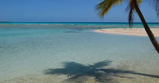 Guadeloupe on a Budget: 12 Tips to Cut Your Bill