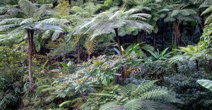 Hôtel pas cher en Guyane : où dormir sans se ruiner (+ alternatives)