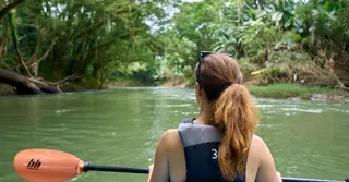 Descendre la crique en kayak : itineraires nature pres de Cayenne
