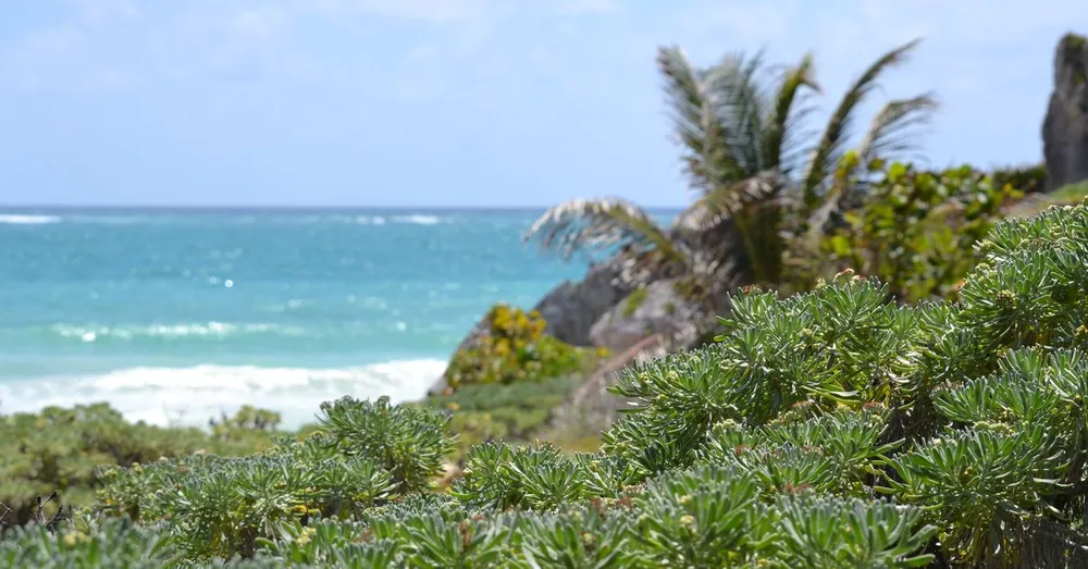 Las playas más bonitas de Guadeloupe (2026)