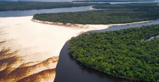 Qué hacer en la Guayana Francesa: 25 imprescindibles fuera de las rutas turísticas