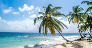 What to Do in Guadeloupe: 30 Must-Sees from a Local