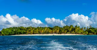 What to Do in Le Marin: Marina, Sailing and Access to Martinique's Southern Islets