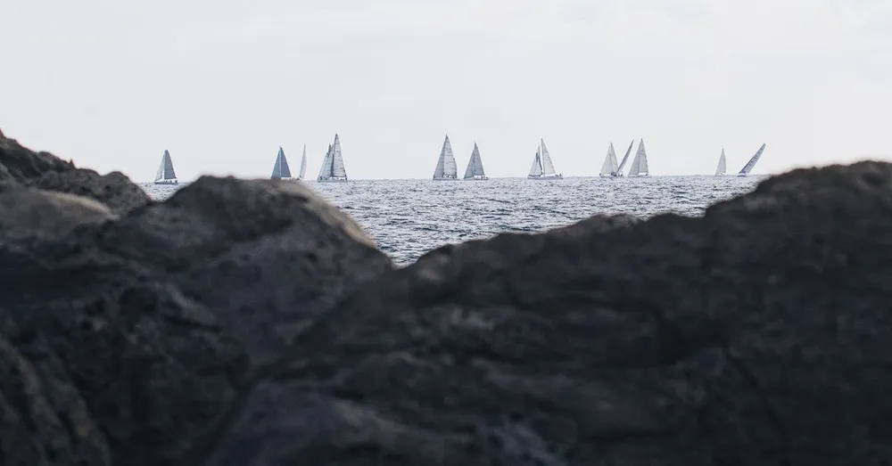 Route du Rhum a Pointe-a-Pitre : louer pour l'arrivee