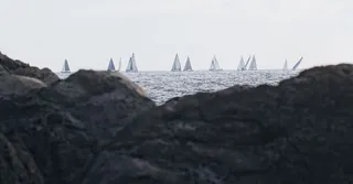 Route du Rhum a Pointe-a-Pitre : louer pour l'arrivee