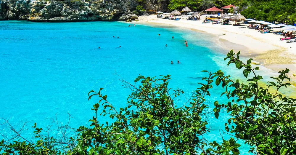 Sargassum in Guadeloupe: Where, When and Which Beaches to Avoid