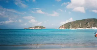 Sargassum in Martinique: Which Beaches to Avoid, When, and How to Plan Ahead