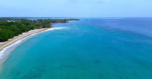 Sejour gastronomique en Martinique : itineraire 7 jours saveurs et rhum