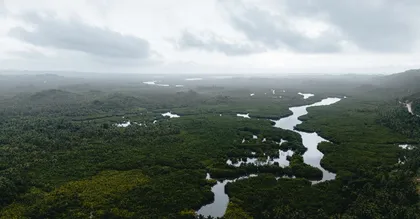 Pic Coudreau et sommets de Guyane : le défi des randonneurs aguerris