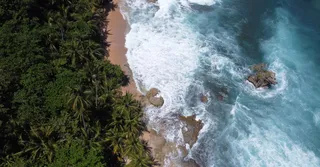 Touring Martinique by Car: 3 Optimized One-Day Loops