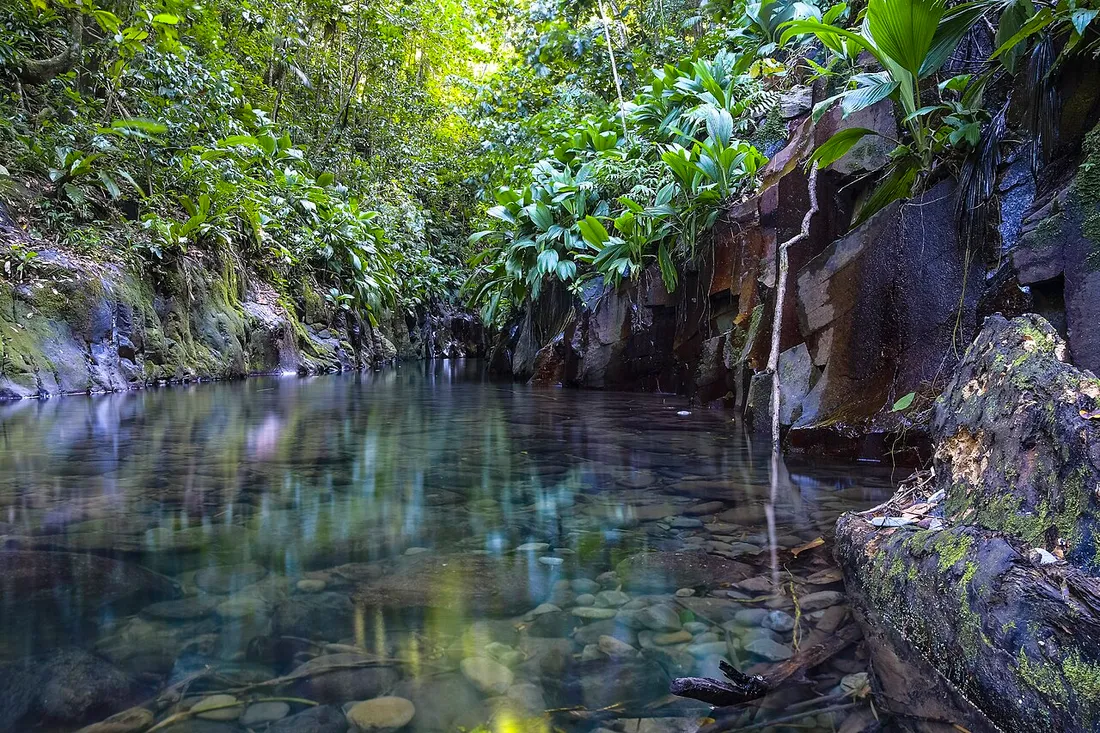 La riviere Moustique a Basse-Terre en Guadeloupe, eaux claires bordees de roches volcaniques et de vegetation tropicale