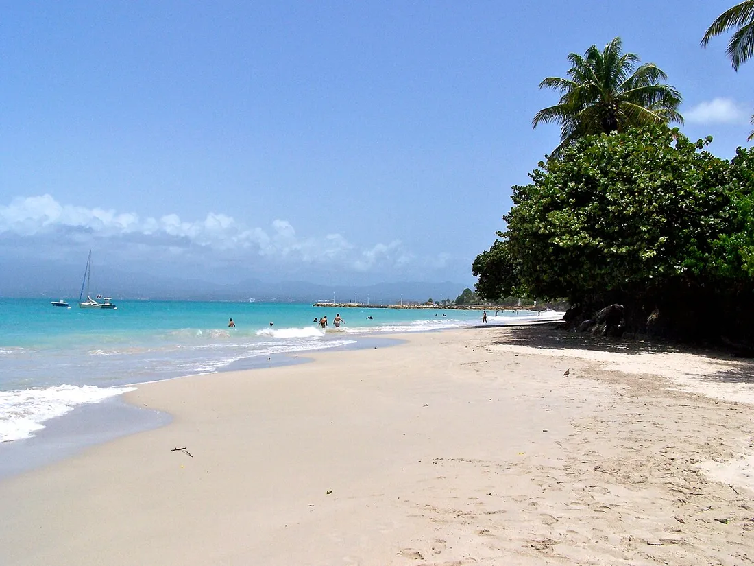 Plage du Gosier en Guadeloupe, sable blanc, eau turquoise et cocotiers, secteur prisé des locations saisonnières gérées en conciergerie