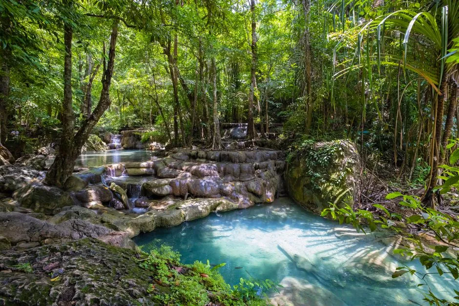 Vasque naturelle d'eau douce turquoise et petite cascade au milieu de la forêt tropicale
