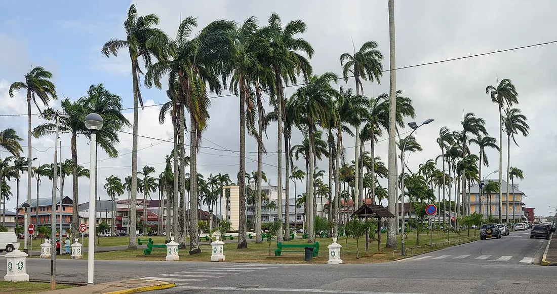 Place des Palmistes à Cayenne, en Guyane, avec ses grands palmiers royaux, point d'arrivée des voyageurs dans le département