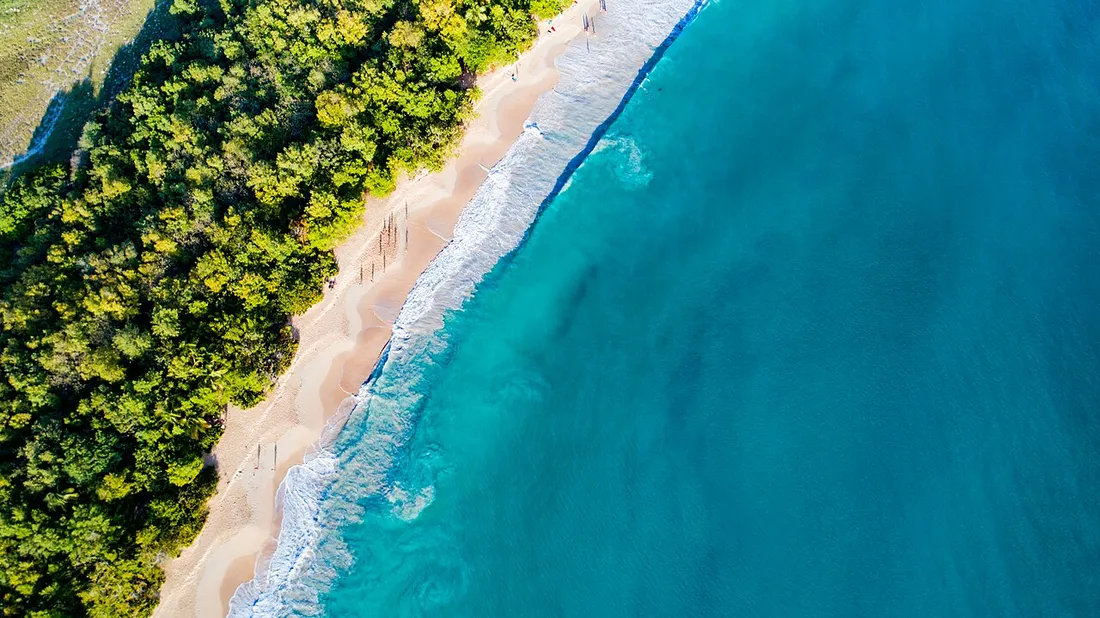 Vue aérienne de la plage des Salines à Sainte-Anne : eau turquoise, bande de sable doré et forêt côtière luxuriante en Martinique