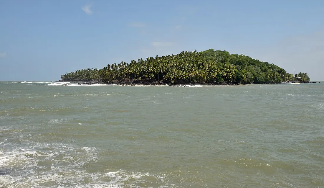 Île Saint-Joseph, couverte de cocotiers, vue depuis l'Île Royale dans l'archipel des Îles du Salut au large de Kourou en Guyane
