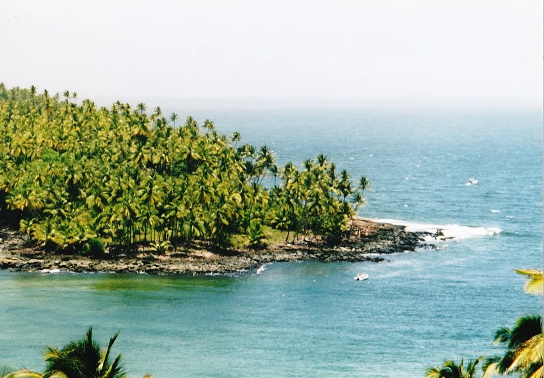 L'Île du Diable bordée de cocotiers et entourée d'une mer turquoise, l'une des trois Îles du Salut en Guyane