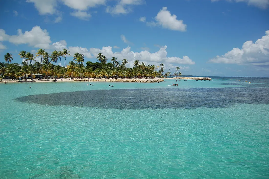 Plage et lagon turquoise de Sainte-Anne en Guadeloupe, bordés de cocotiers, lieu prisé des locations saisonnieres