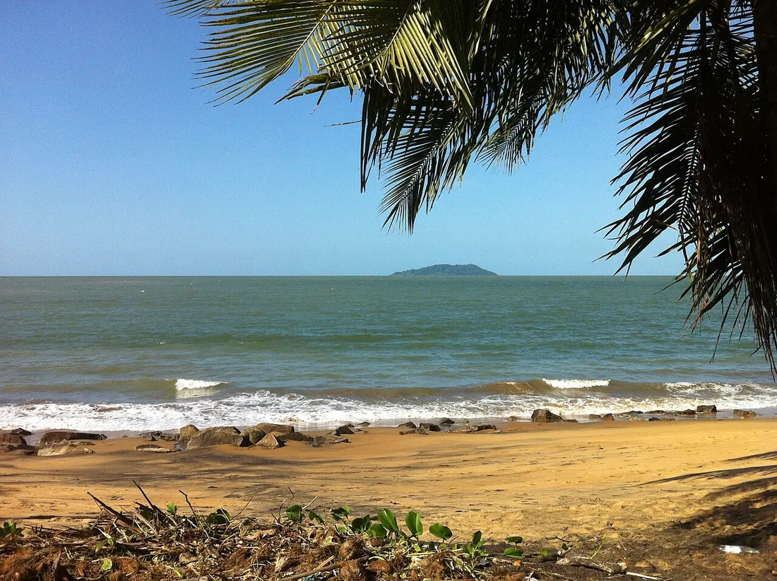 Plage naturelle de Rémire-Montjoly en Guyane : sable doré, palmier, mer et îlot à l'horizon