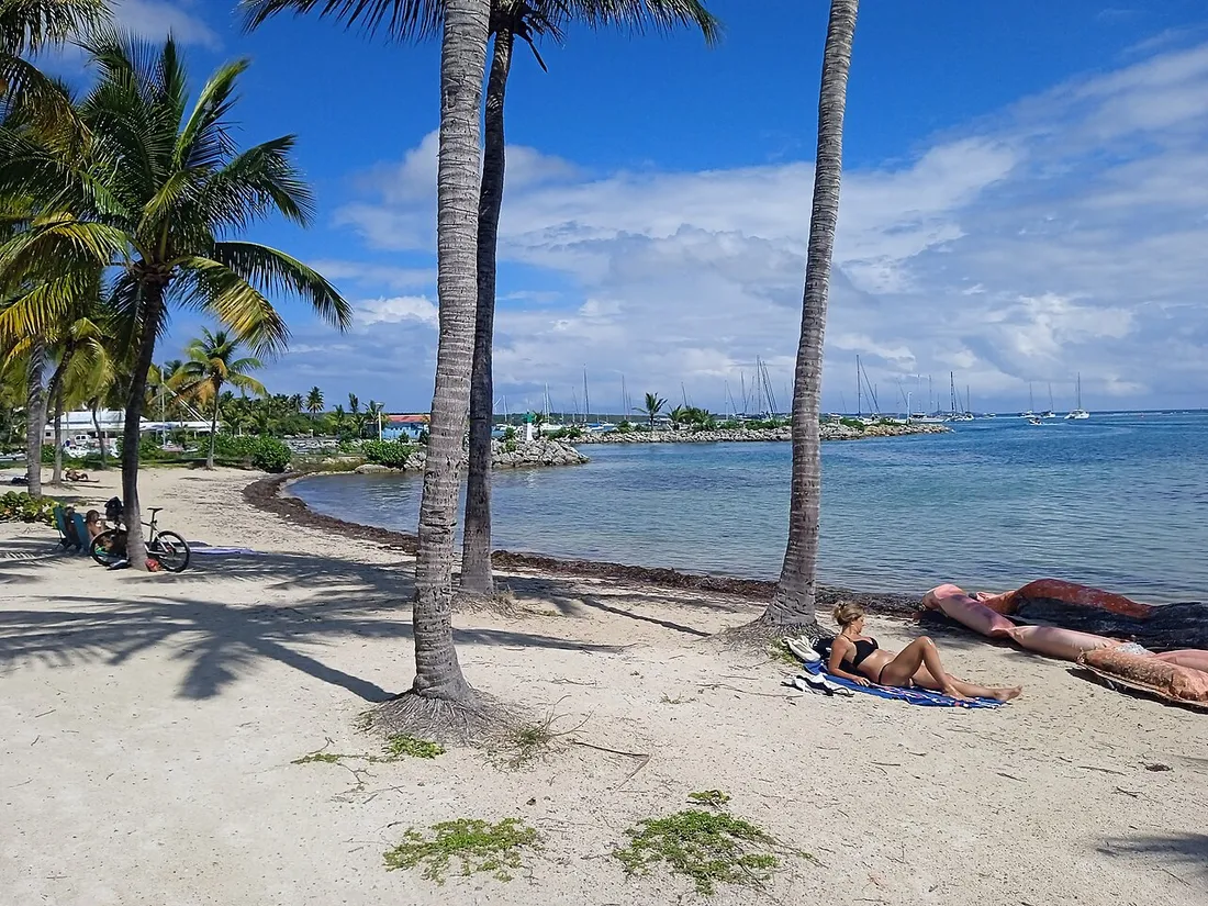 Plage au lieu-dit La Voute a Saint-Francois, sable clair borde de cocotiers avec des voiliers au mouillage dans le lagon