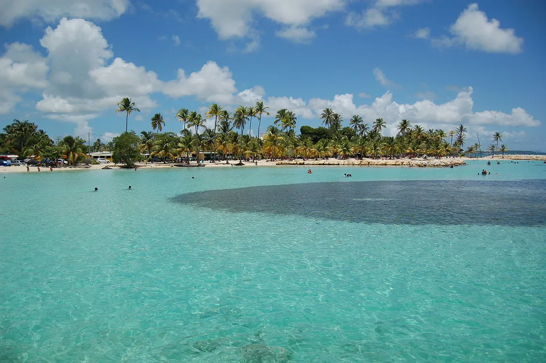 Plage de Sainte-Anne en Guadeloupe : lagon turquoise, sable blanc et cocotiers sous un ciel bleu