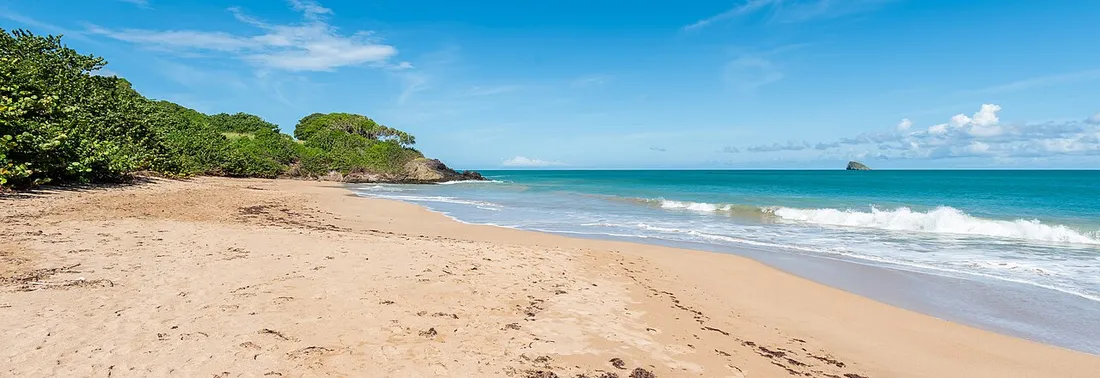 Sable doré et eaux turquoise de la plage de Cluny à Sainte-Rose, bordée de végétation tropicale au nord de Basse-Terre en Guadeloupe