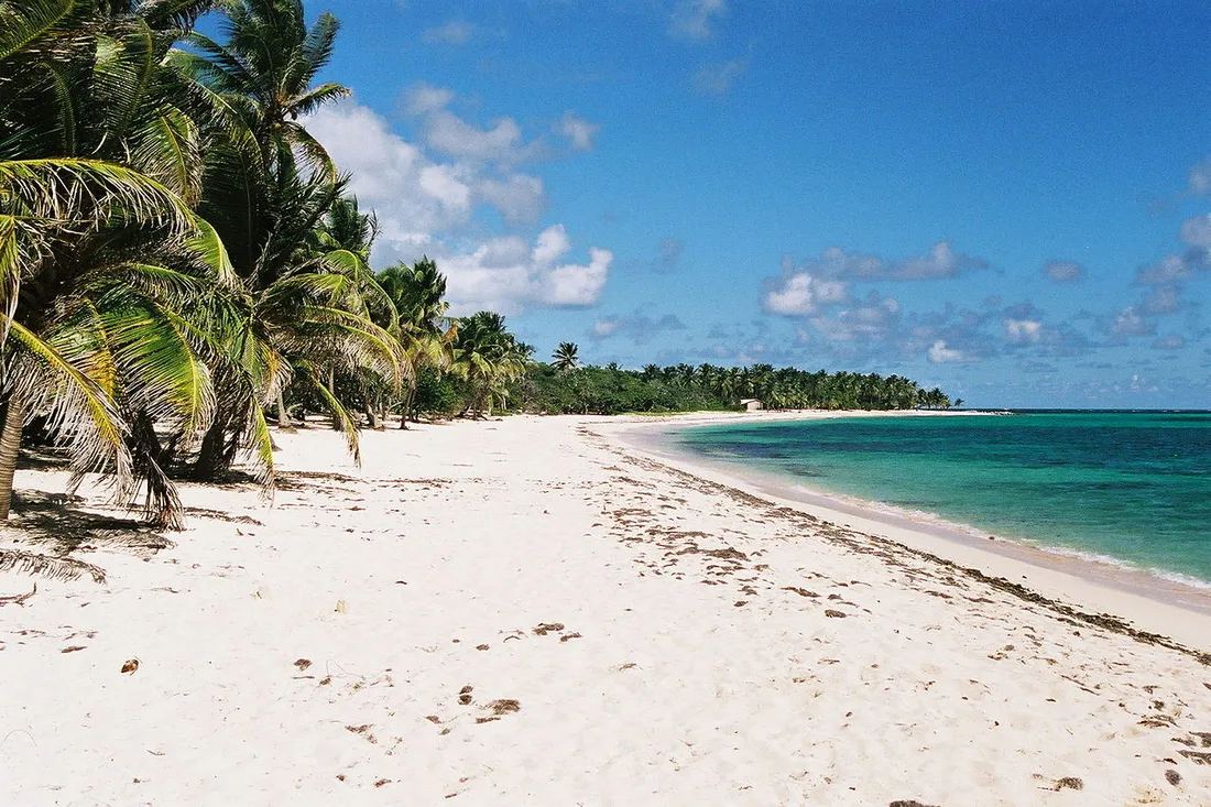 La plage de la Feuillere a Capesterre-de-Marie-Galante, longue plage de sable blanc bordee de cocotiers face a un lagon turquoise