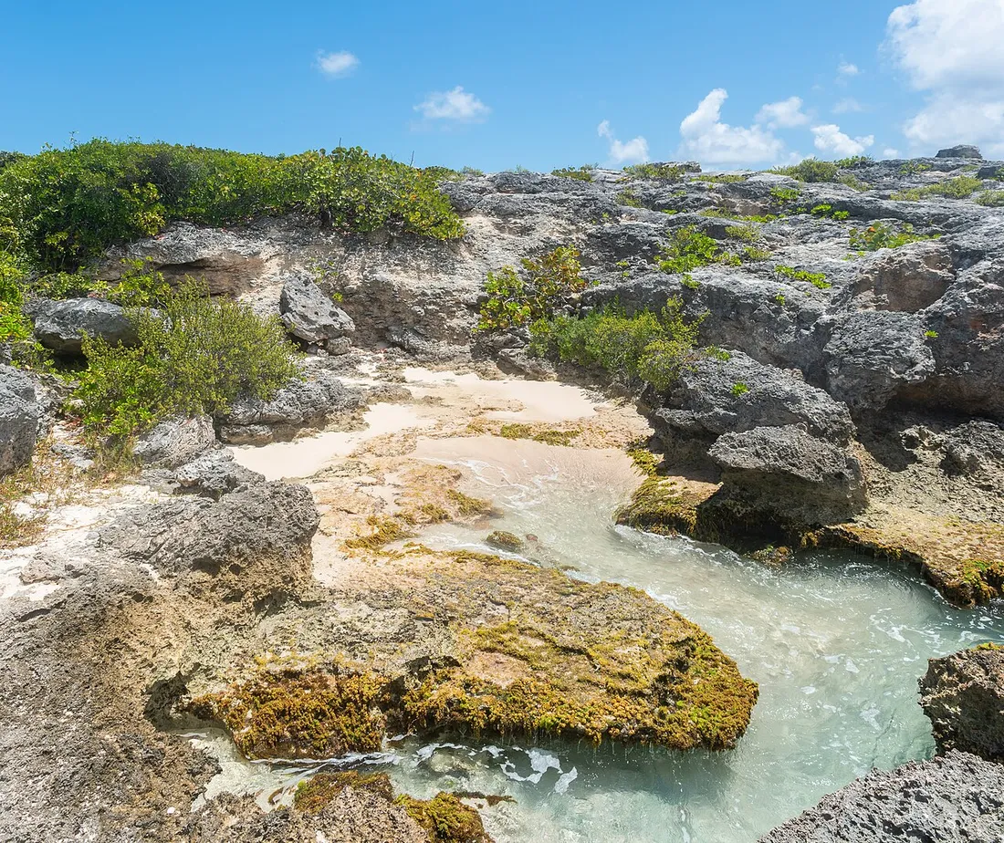 Littoral rocheux et calcaire de la Pointe des Châteaux en Guadeloupe, avec vasque d'eau de mer entre les roches le long du sentier