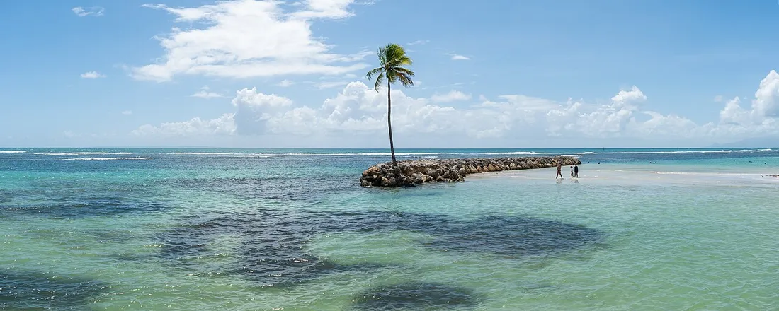 Plage du Bourg à Sainte-Anne en Guadeloupe, avec son cocotier isolé, sa jetée de rochers et son lagon turquoise sous un ciel ensoleillé