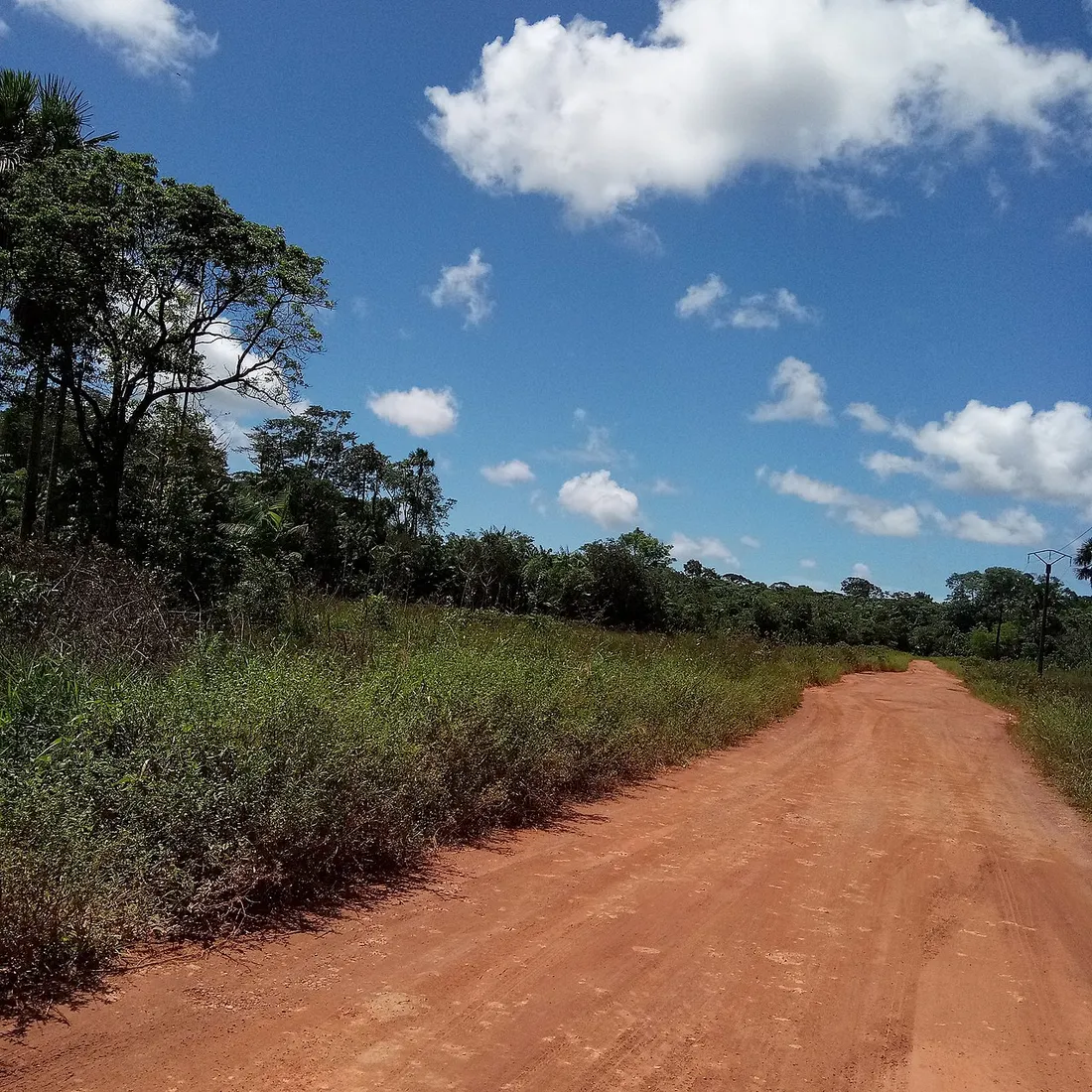 Route de laterite rouge traversant la savane et la foret pres de Roura en Guyane francaise