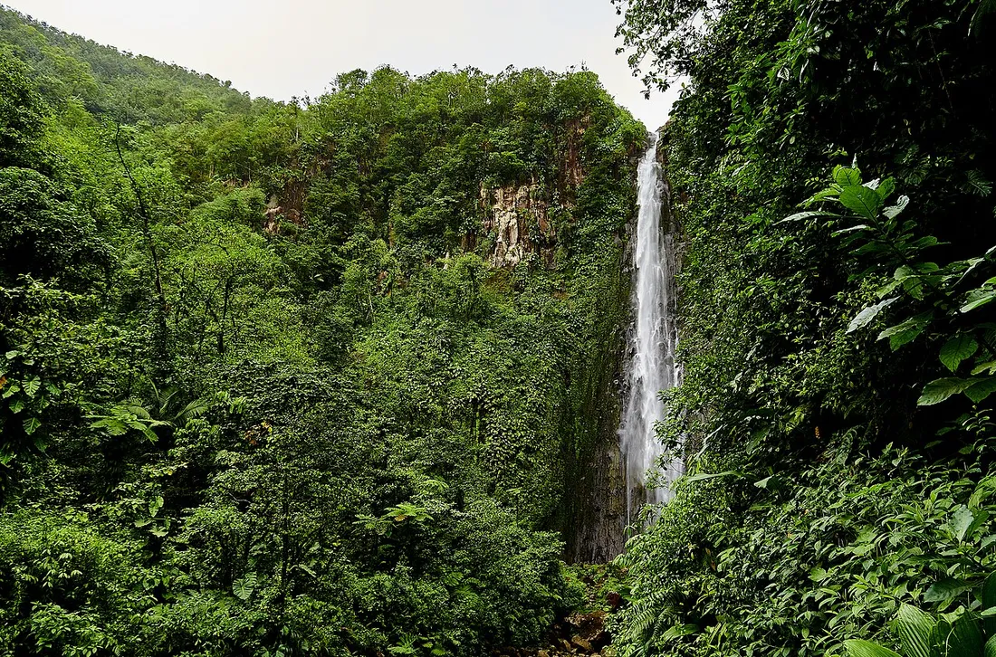 Une des Chutes du Carbet dévalant la forêt tropicale luxuriante du Parc national de Guadeloupe, à Basse-Terre