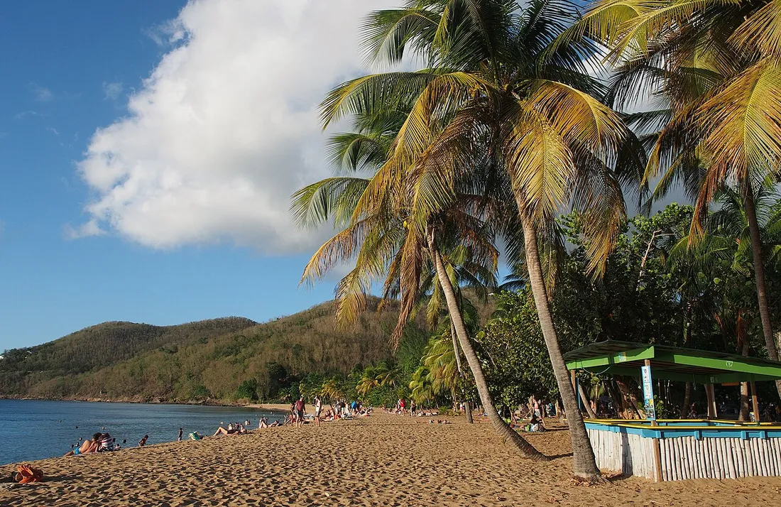 Plage de Grande Anse à Deshaies en Guadeloupe bordée de cocotiers sous un ciel ensoleillé, conditions idéales de la saison sèche