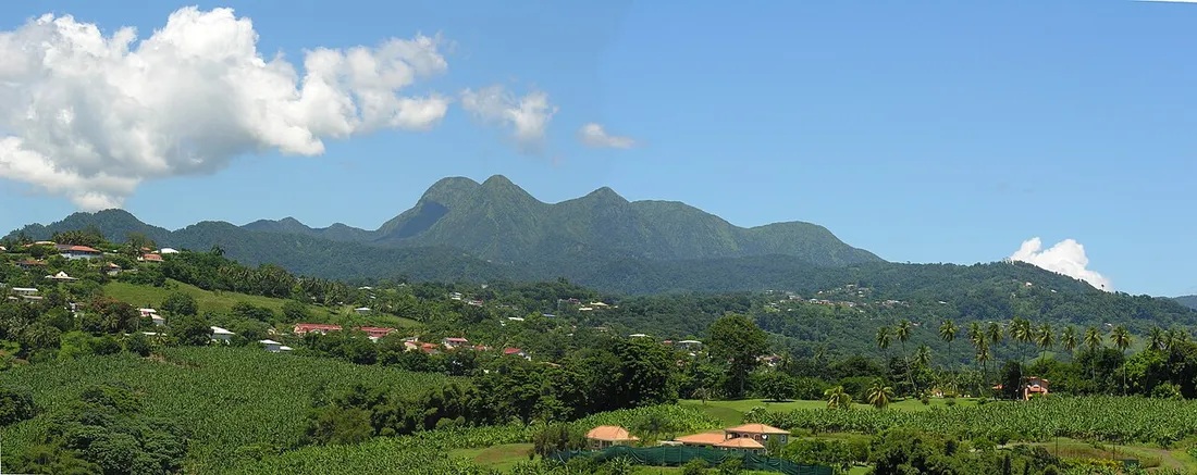 Vue panoramique de la chaine des Pitons du Carbet, sommets verdoyants dominant les champs de bananiers du Nord de la Martinique