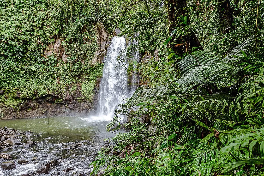 Cascade des Chutes du Carbet entouree de foret tropicale dans le Parc national de la Guadeloupe