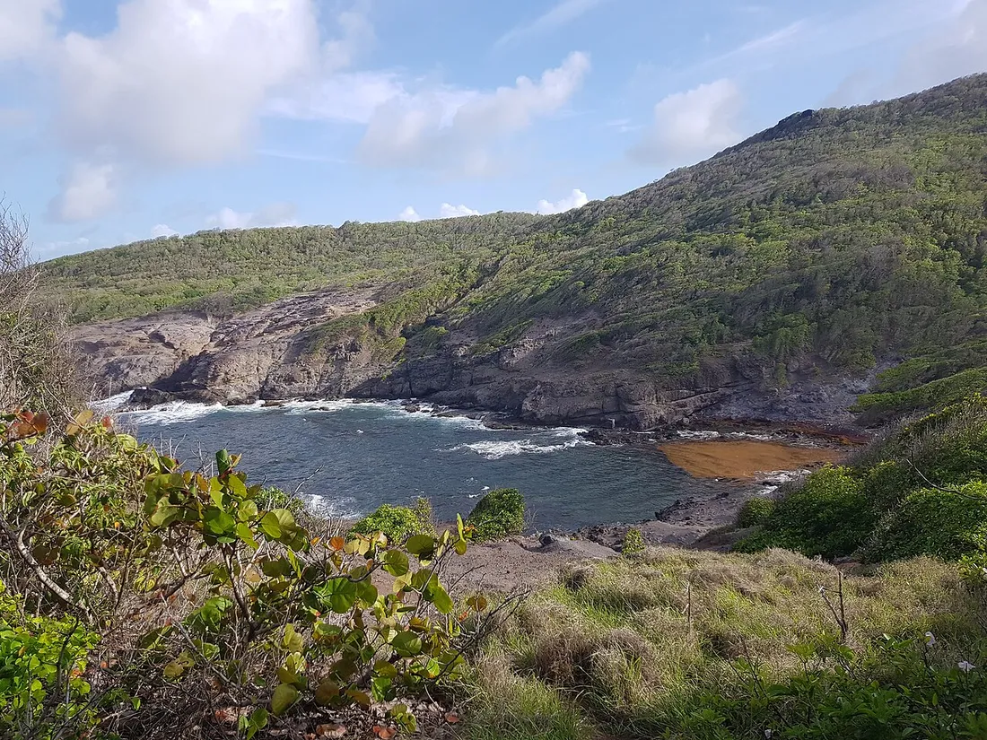 Anse sauvage et falaises de la pointe de la presqu'île de la Caravelle en Martinique, point de vue sur une boucle d'une journée en voiture