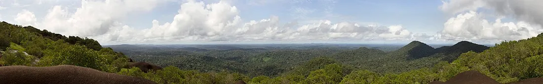 Panorama depuis le sommet de l'inselberg des Nouragues en Guyane : dalle de granite au premier plan et forêt primaire s'étendant jusqu'à l'horizon