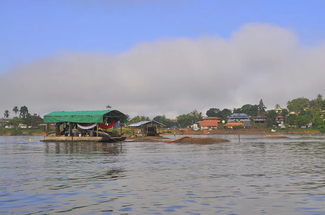 Habitat fluvial sur un fleuve du Parc amazonien de Guyane, illustrant la vie le long des cours d'eau de l'intérieur amazonien